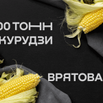 кукурудза, сушіння кукурудзи, зерносушарка